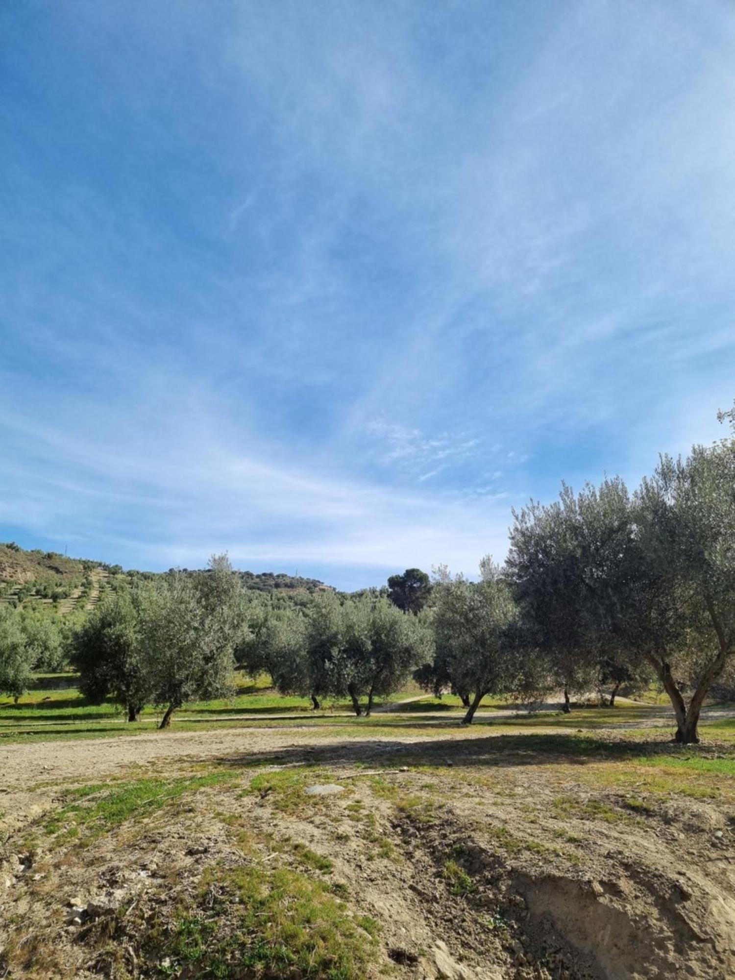 La Colina Ladyblue Apto Acogedor Cerca De Sierra Nevada Y Alhambra 세네스데라베가 외부 사진